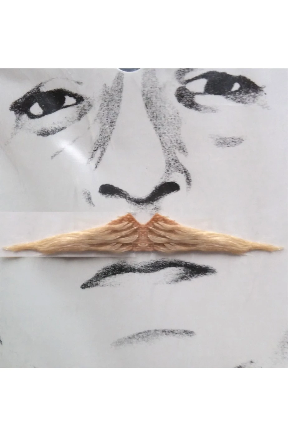 Trucco: Baffi Sottili Tipo Zorro Biondi Flott - immagine 2