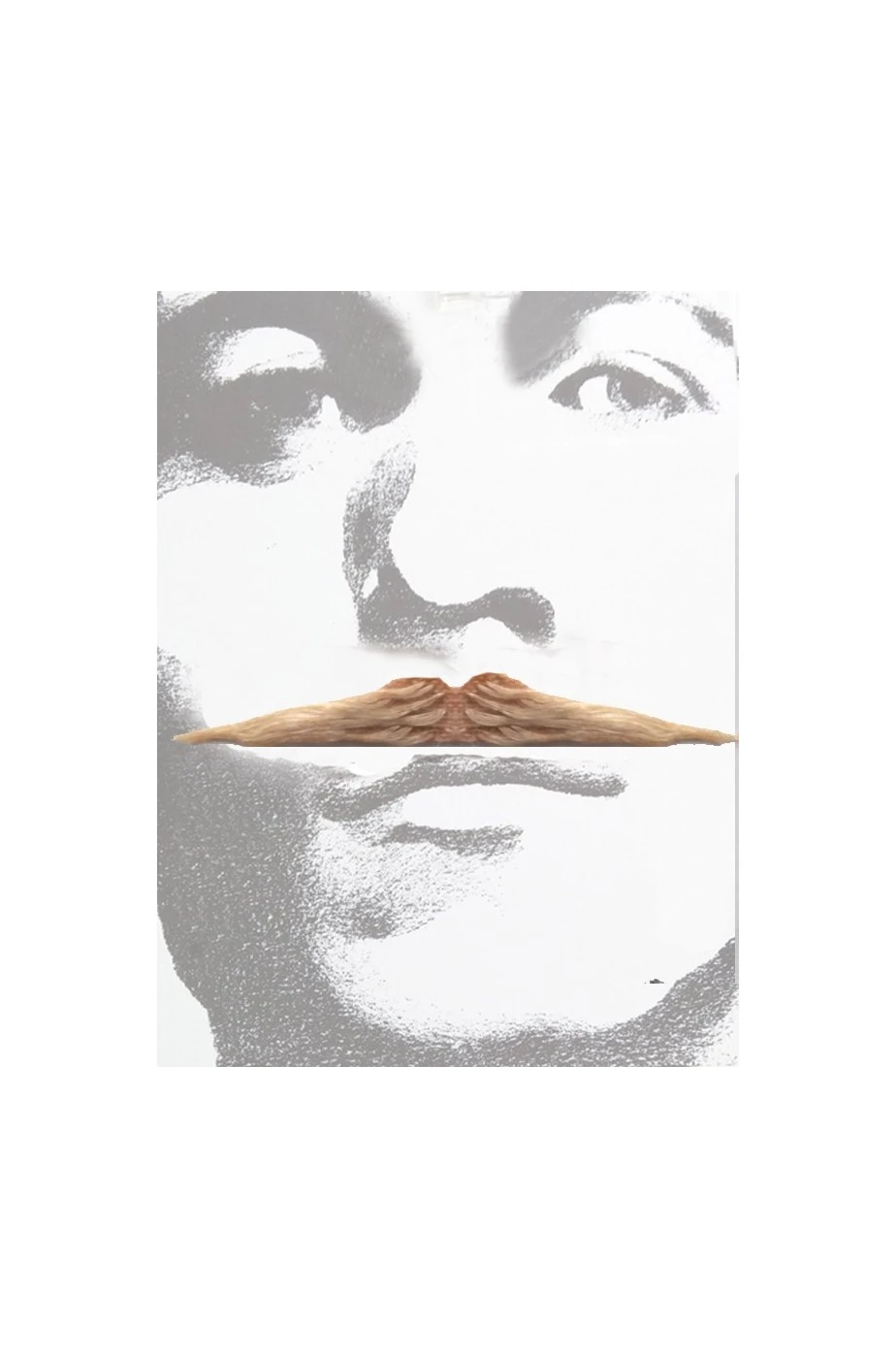 Trucco: Baffi Sottili Tipo Zorro Biondi Flott - immagine 3