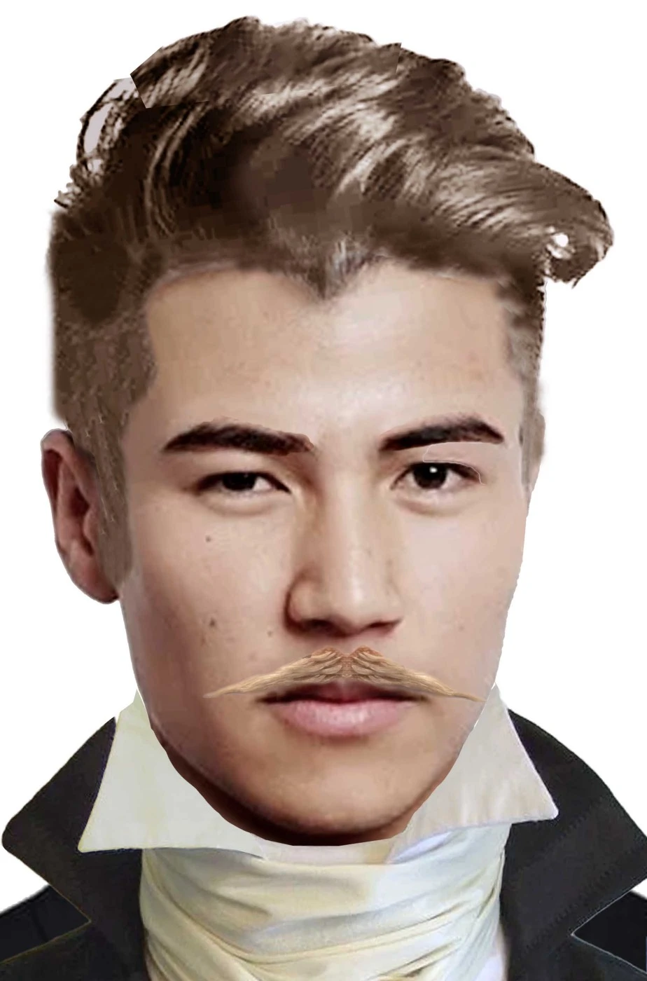 Trucco: Baffi Sottili Tipo Zorro Biondi Flott