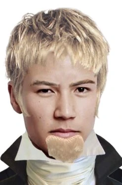 Trucco: Barba Finta Pizzetto Bionda Professor