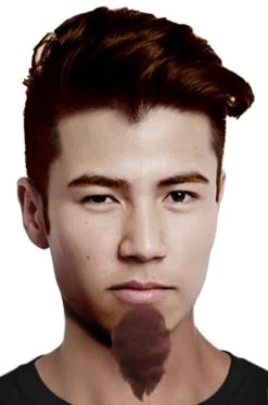 Trucco: Barba Finta Pizzetto A Mosca Marrone Pointed