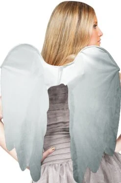 Ali Finte In Stoffa Grigie Da Angelo Del Cimitero O Del Presepe