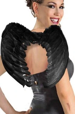 API Ali Nere Di Piume Larghe 53x37