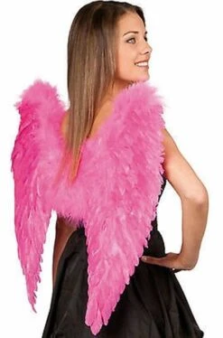 Ali Rosa Con Piume Cm 40