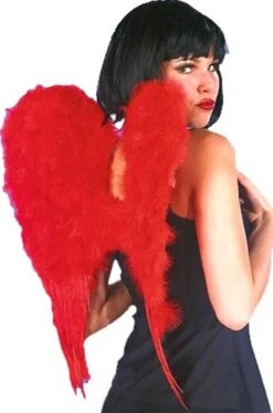 Ali Rosse Di Piume Medie 50x50cm