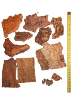 Ambientazione Presepe Set Pezzi Di Sughero Naturale