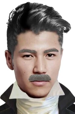 Trucco: Baffi Finti A Spazzola Grigi Gent Menjou