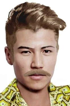 Trucco: Baffi Finti A Spazzola Lunghi Anni 70 Biondi Bart