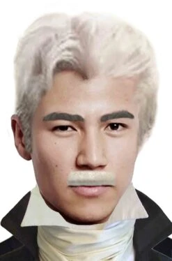 Trucco: Baffi Finti A Spazzola Bianchi Gent Menjou