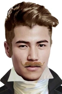 Trucco: Baffi Finti Biondi A Manubrio Dandy