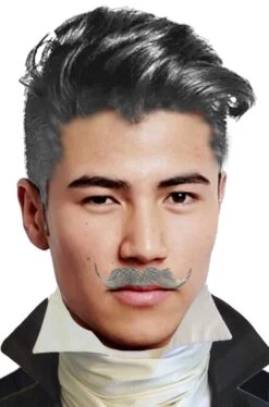 Trucco: Baffi Finti A Punta A Manubrio Grigi Dandy