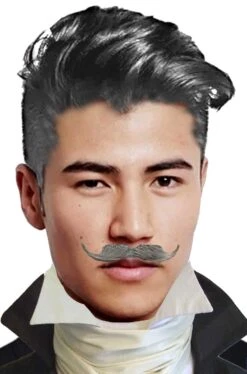 Trucco: Baffi Finti A Punta A Manubrio Grigi Corti Elegan