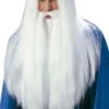Set Barba, Parrucca, Baffi Gandalf Il Bianco Dal Film Il Signore Degli Anelli Per Merlino E Panoramix Silente