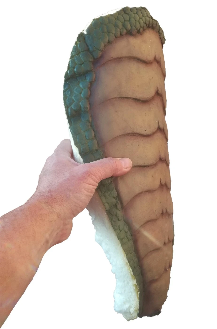 Carapace Scudo Da Tartaruga O Rettile Dinosauro In Schiuma - immagine 2