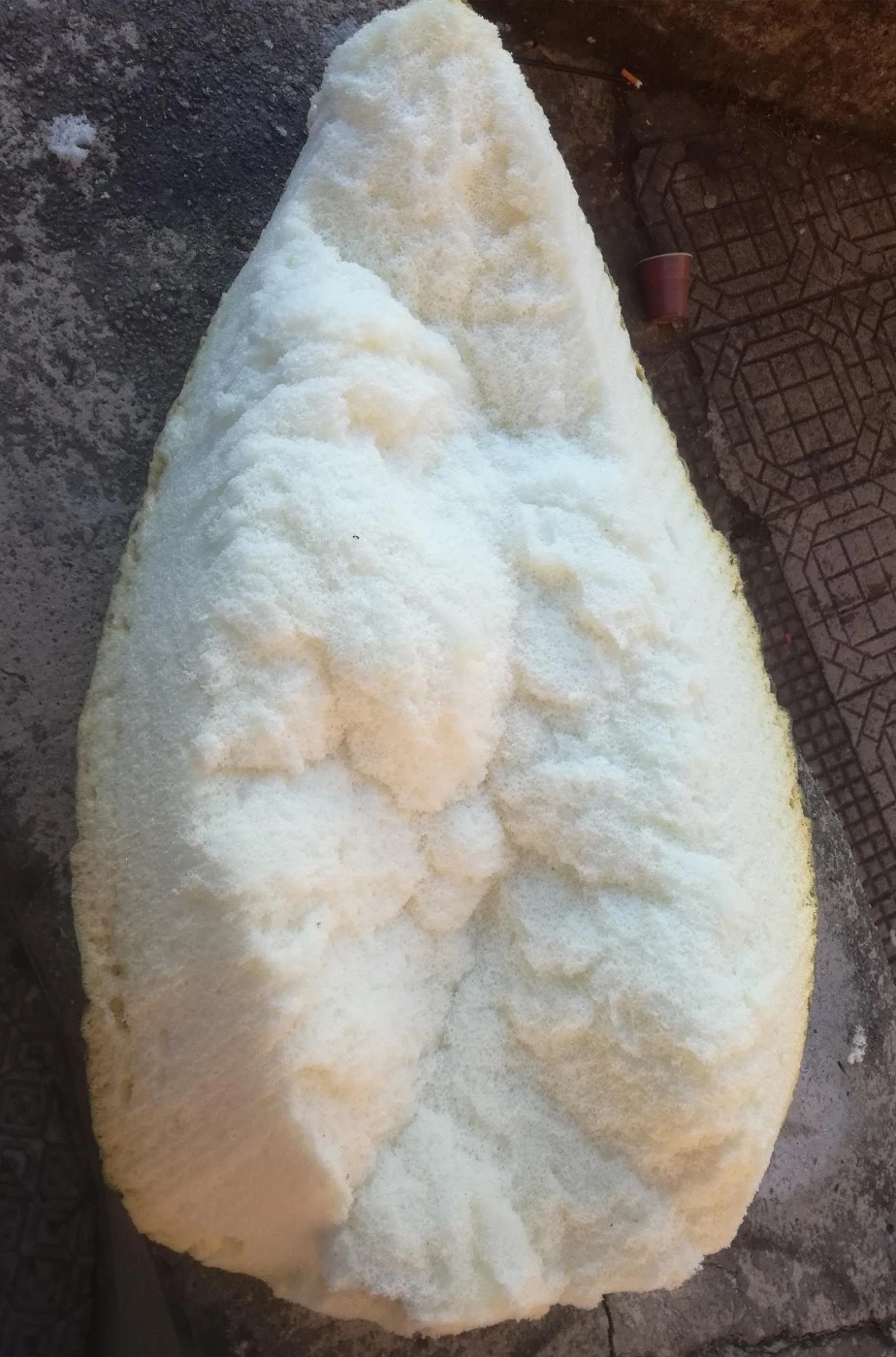 Carapace Scudo Da Tartaruga O Rettile Dinosauro In Schiuma - immagine 3