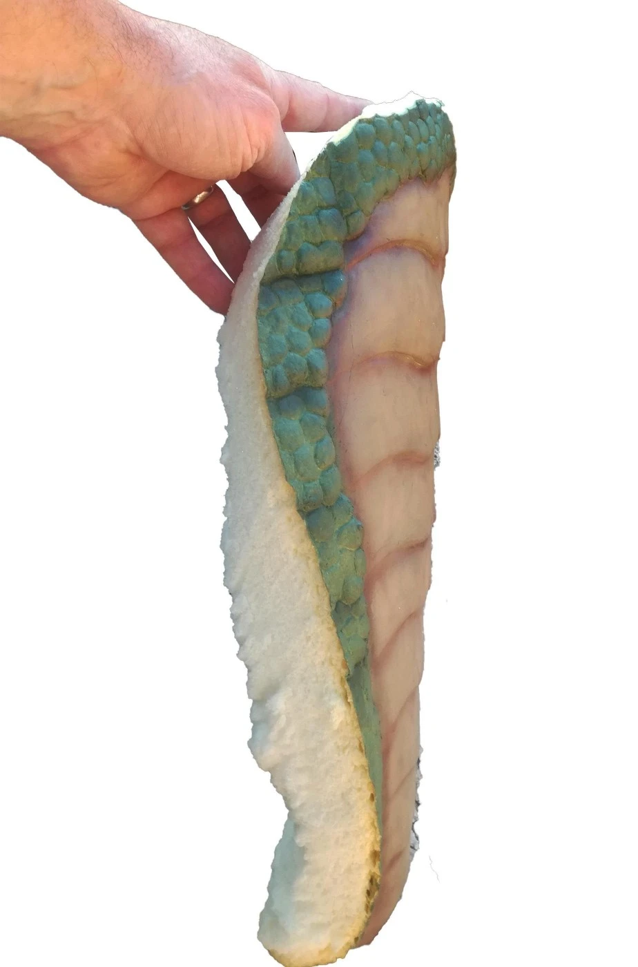 Carapace Scudo Da Tartaruga O Rettile Dinosauro In Schiuma - immagine 4