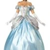 Abito Adulta Da Principessa Azzurra Meraviglioso E Fiabesco