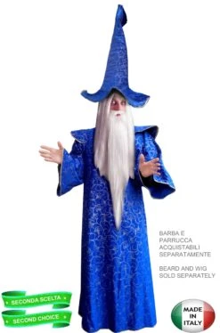 Costume Da Mago Merlino La Spada Nella Roccia Seconda Scelta