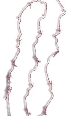 Ghirlanda Di Filo Spinato Anche Per Corona Di Spine 366cm