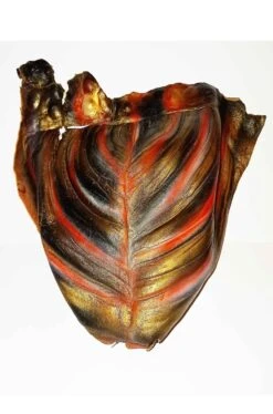 Fronte Di Guerriero Extraterrestre Prostetica Di Lattice Per Trucco Halloween