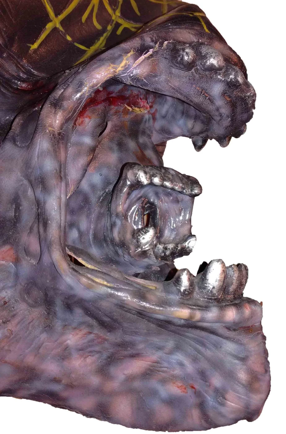 FX Trucco Halloween Bocca Alien In Lattice Per Scenografie - immagine 2