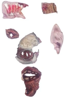 FX Trucco Halloween Rimanenze Di Lavorazione Makeup