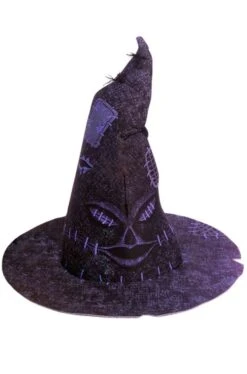 Harry Potter Cappello Parlante Versione Economica