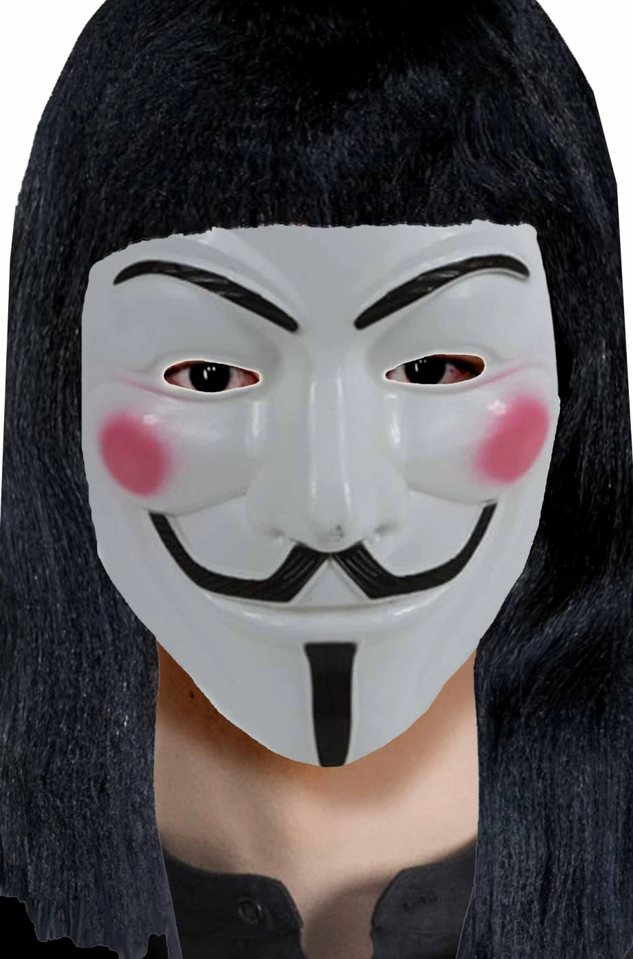 Maschera Guy Fawkes Che Ricorda Quella Di V Per Vendetta Anonymous - immagine 2