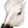 Maschera Da Cavallo Bianco In Lattice A Tutta Testa Con Criniera