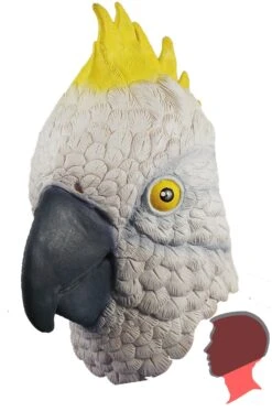 HM Maschera Pappagallo Testa Intera In Lattice