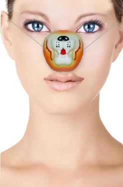 Smiffys Naso Finto Animale Da Leone O Tigre