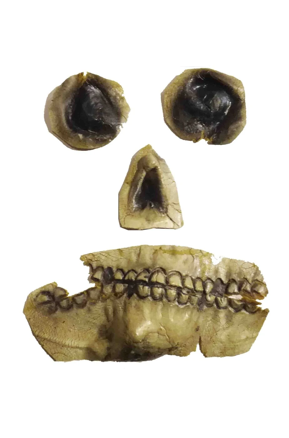 Set Per Creazione Teschio Occhi Naso E Bocca In Lattice