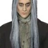 HM Parrucca Grigia Lunga Liscia Per Mago Gandalf O Vecchio Anziano SOLO PARRUCCA