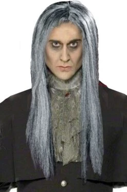 HM Parrucca Grigia Lunga Liscia Per Mago Gandalf O Vecchio Anziano SOLO PARRUCCA