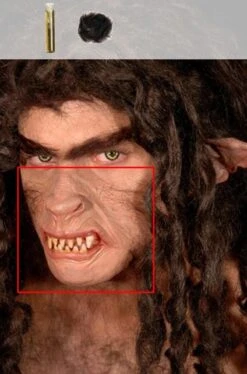 Protesi Mascherina Lupo In Lattice