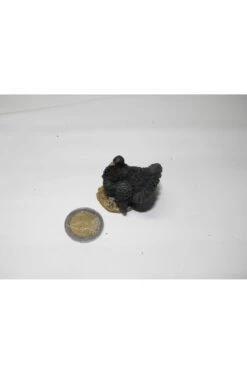 Ambientazione Presepe: Tacchino Dipinto A Mano