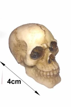 Teschio Decorativo In Resina Cm 4 Ridens
