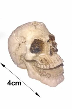 Teschio Decorativo In Resina Cm 4 Ridens Bocca Aperta