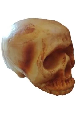 Teschio Finto Di Plastica Dimensione Naturale 19x14cm Senza Mandibola