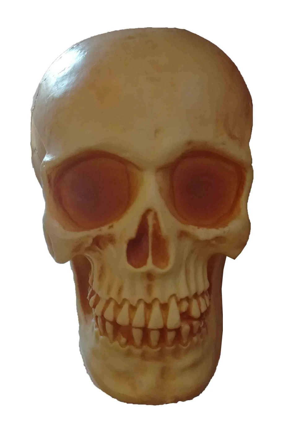 Teschio Finto Di Plastica Dimensione Naturale 19x14cm Ambrato - immagine 2