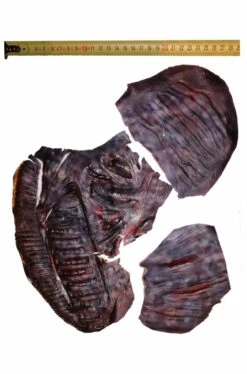 FX Trucco Halloween Brandelli Di Pelle Mostro In Lattice